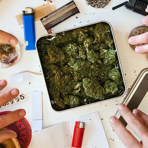 Weed Categories Shop All