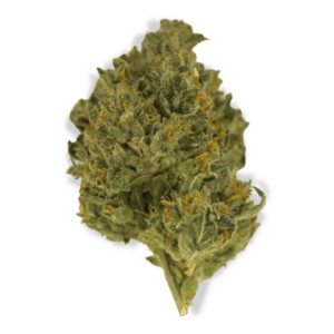 Gush Water Cannabis Strain