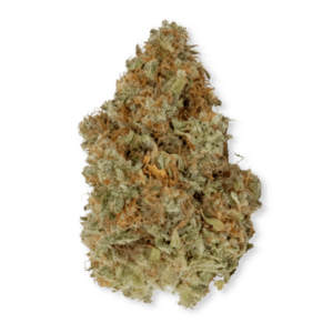 Citradelic Sunset Sativa Cannabis