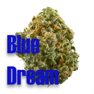 Blue Dream Cannabis Strain