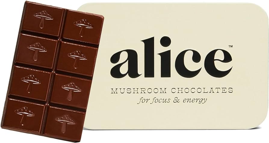 Alice mushroom chocolate bar with beige tin labeled "for focus & energy," featuring embossed mushroom icons on each chocolate square