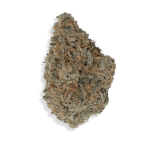 A close-up of a dense cannabis bud with visible orange hairs and frosty trichomes.