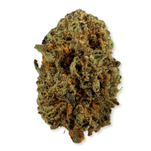 Dense cannabis bud with a rich mix of green hues and orange pistils, coated in trichomes