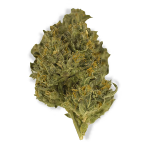 Close-up of a green cannabis bud with orange hairs and visible trichomes.