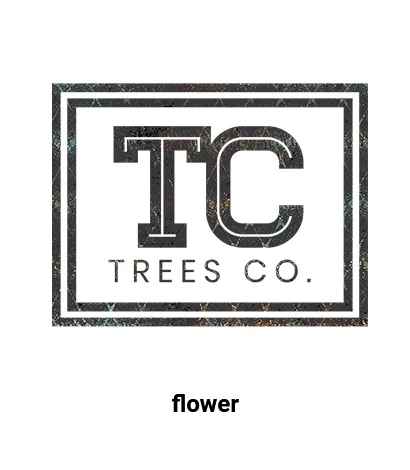 Logo with bold letters 'TC' above the text 'TREES CO.' inside a double rectangular border, with a subtle textured background.