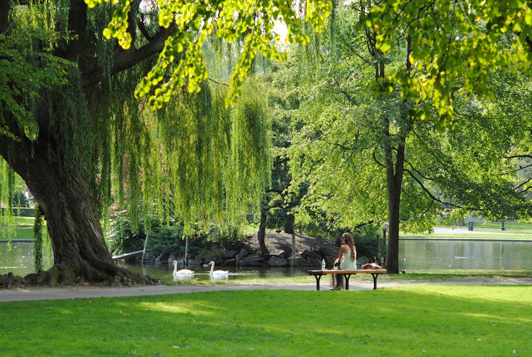 beautiful park with lots of green and a nice bench