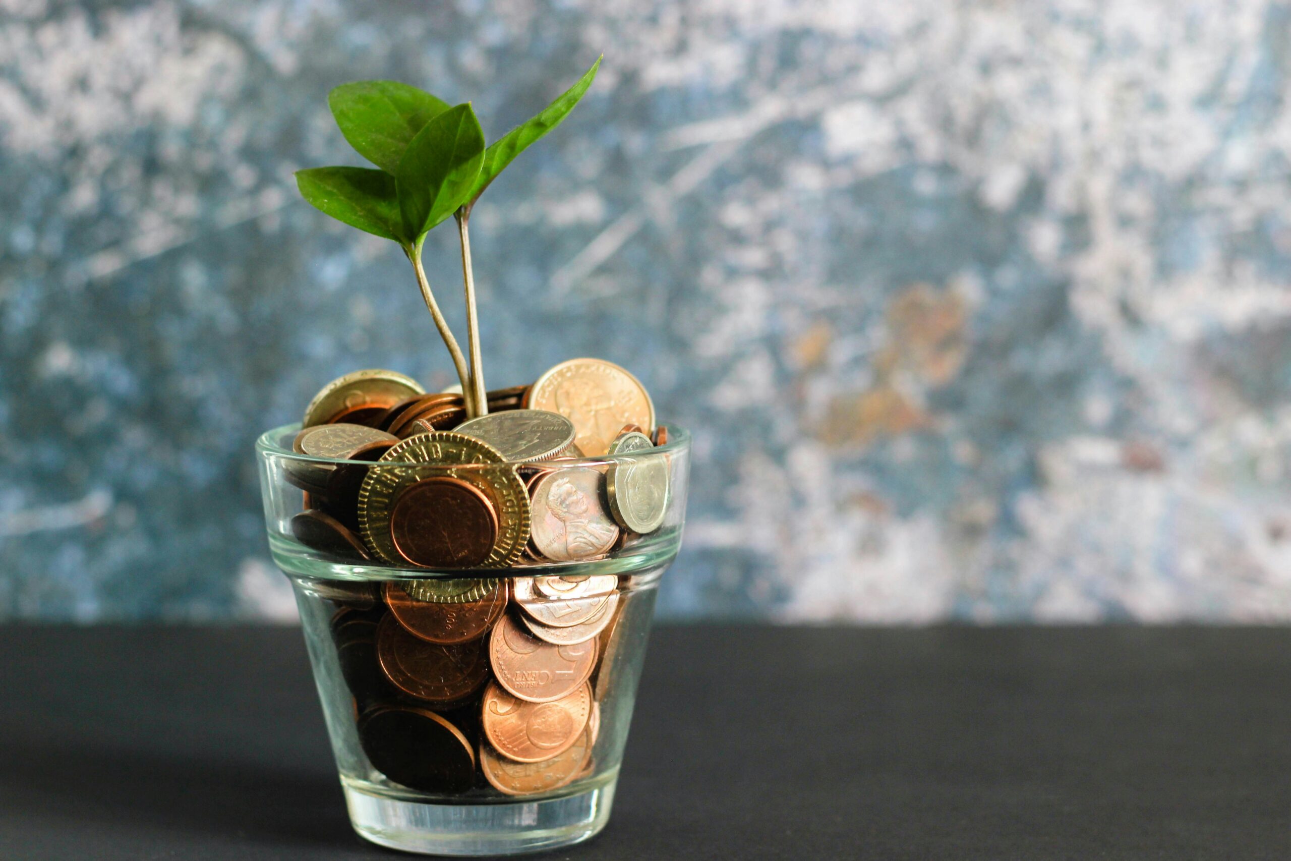 coins in a jar with a plant growing from it