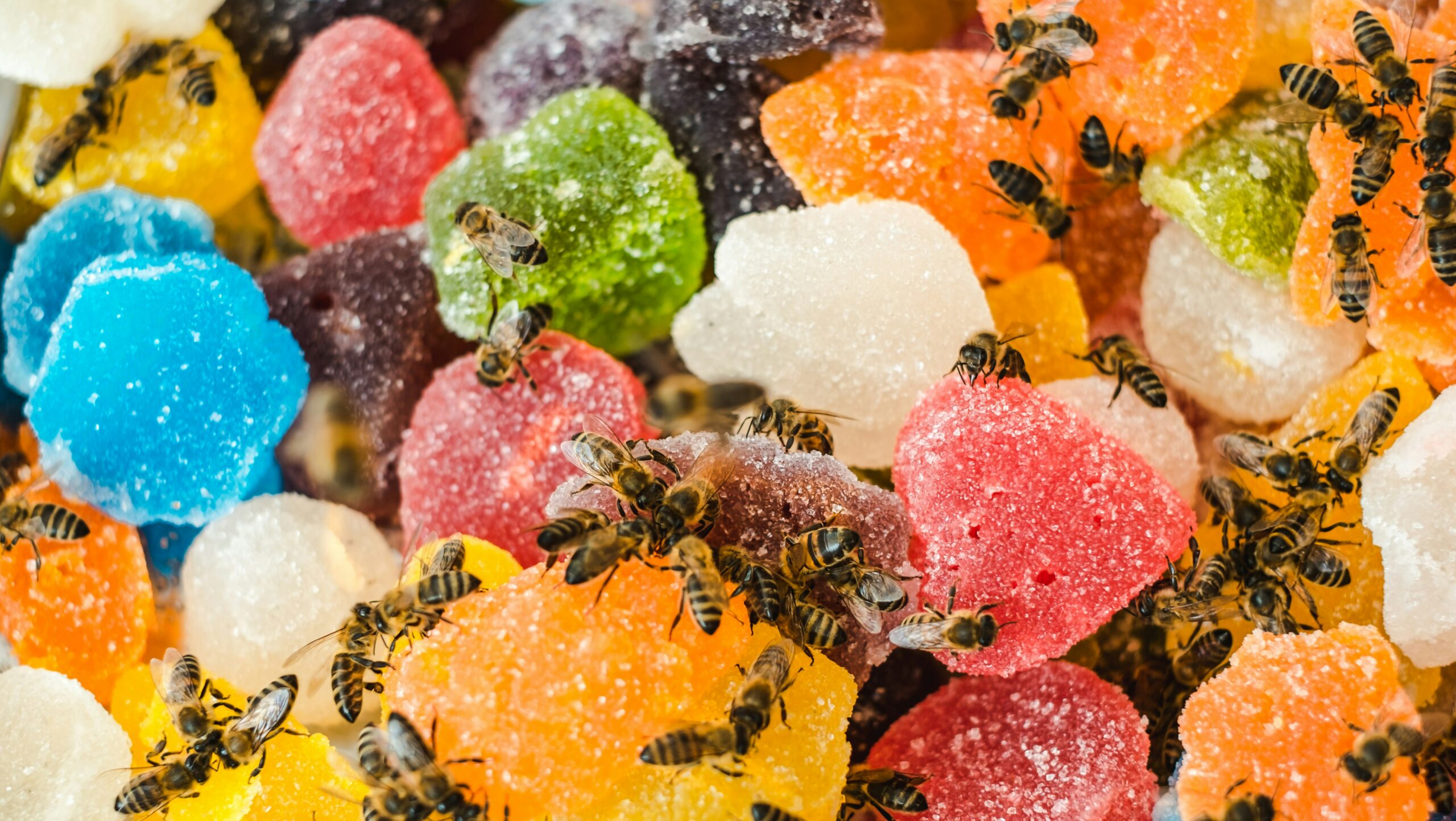 a bunch of edibles gummies with bees on them